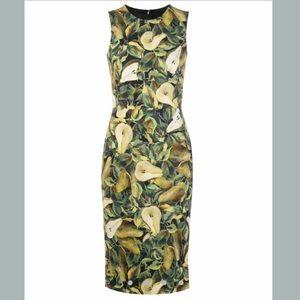 Dolce&Gabbana Abito pear print dress